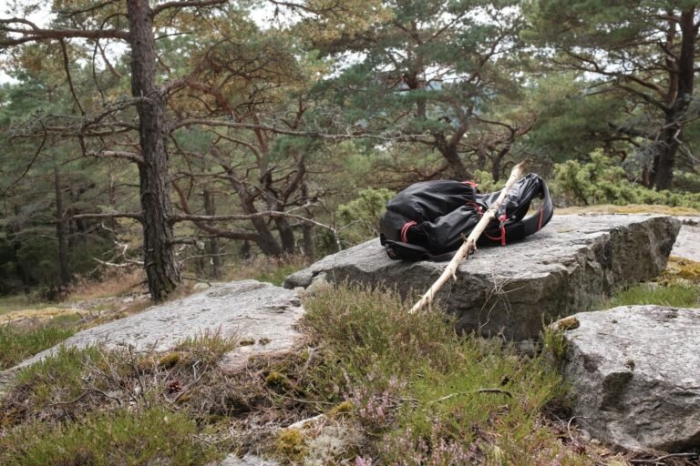 Ultralight backpack for hiking and next to it is a trekking pole made from a stick of wood.