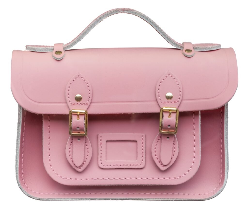 Isolated Luxury Pink Leather Satchel